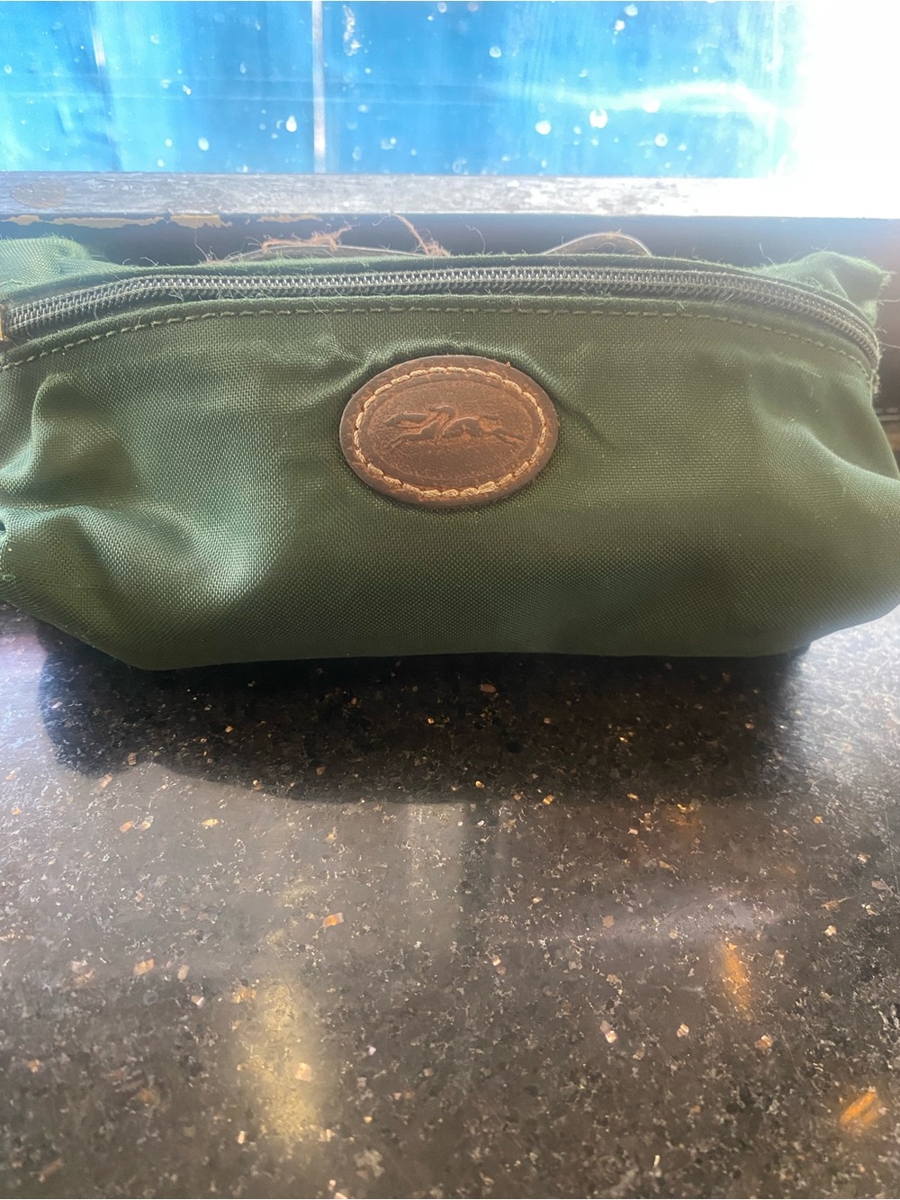 LONGCHAMP DEEP FOREST EVERGREEN NYLON LEATHER MAKEUP WALLET Pouch LMTD LUX 💚ED